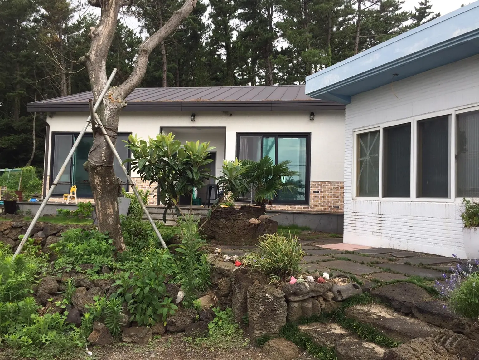 西归浦城山 海景·近海·步行可达 房子 1室·最多2人 Haestay 102 (女性专用) 海滩景观 桥梁 主图