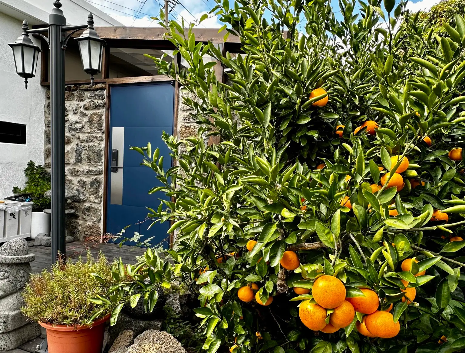 Jeju Seongsan High-class private outdoor Hinoki spa independent pension in a tangerine orchard and stone wall - main image