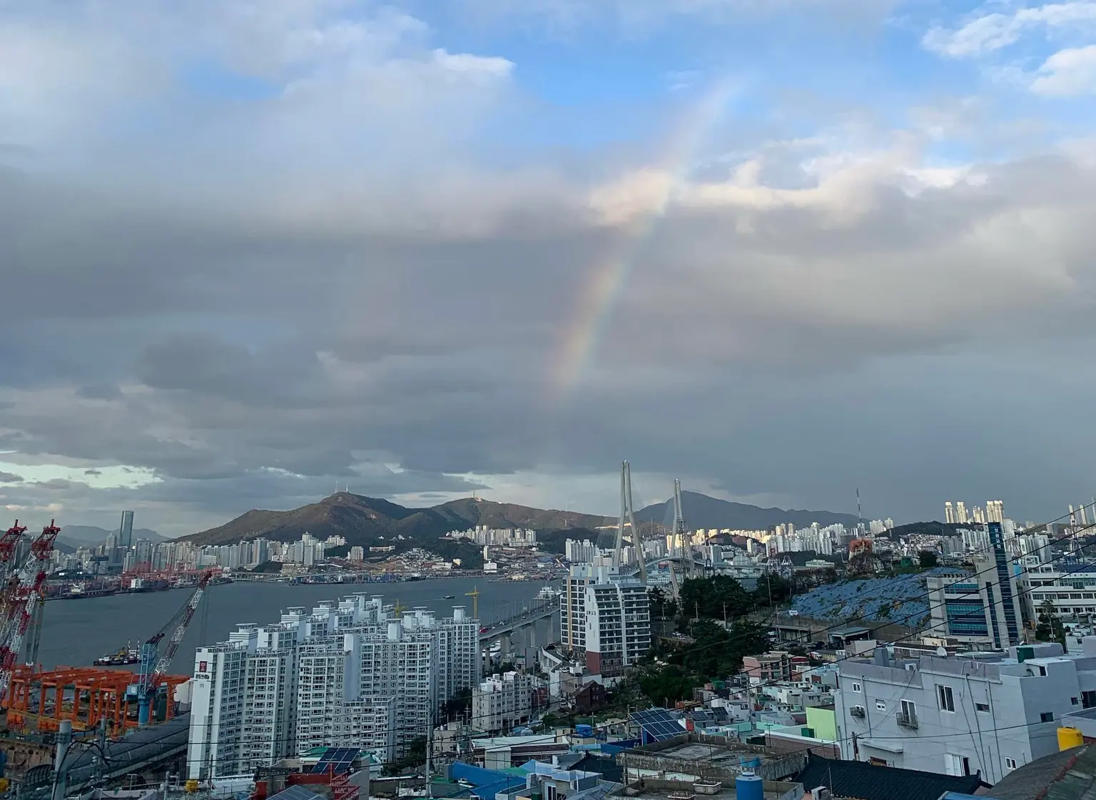 부산 영도구 북항파노라마뷰 단독주택 - main image