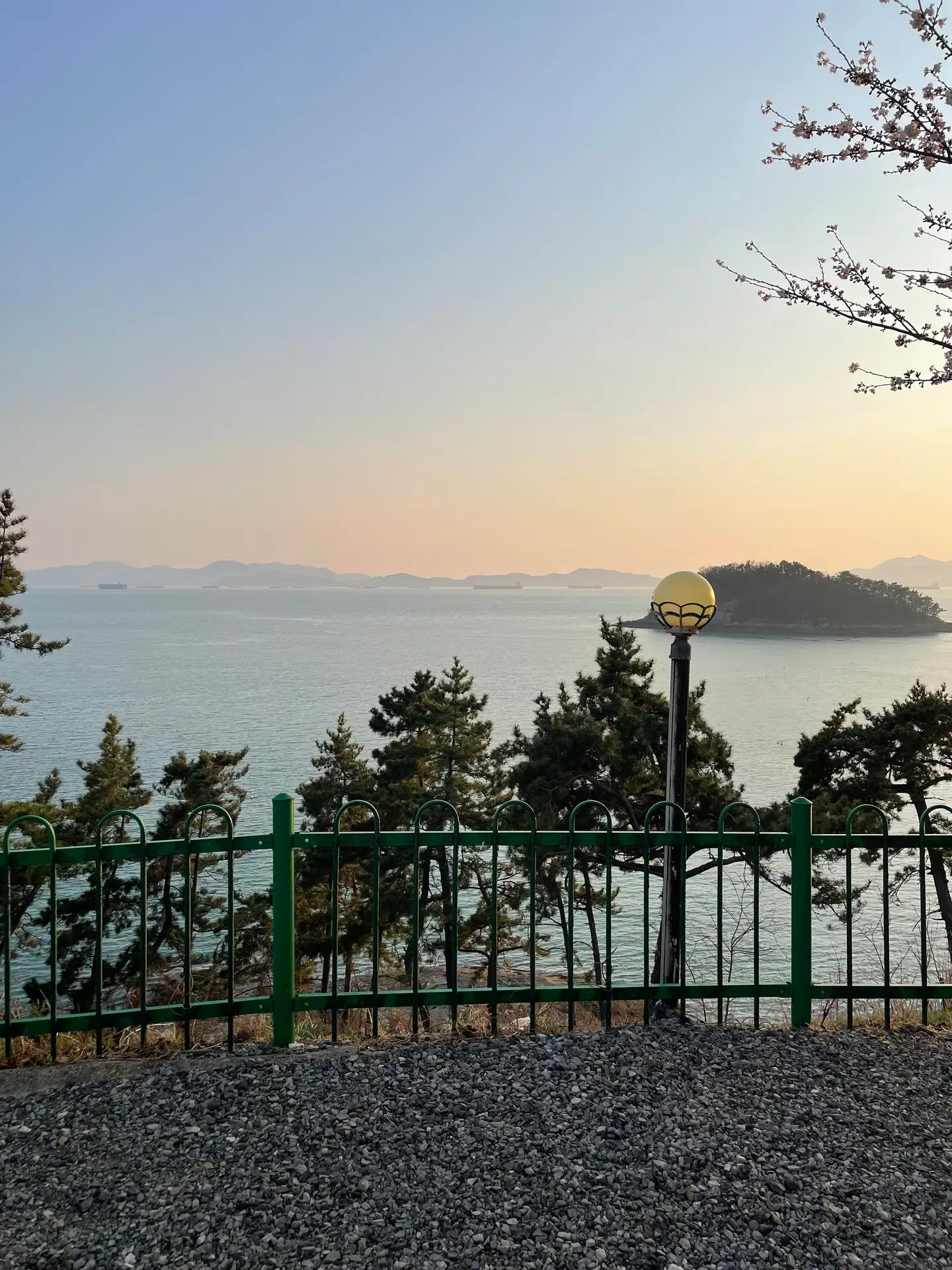 南海書面 日の出日没が見えるオーシャンビュー南海ツールームC101＃ペット＃在宅 - image6