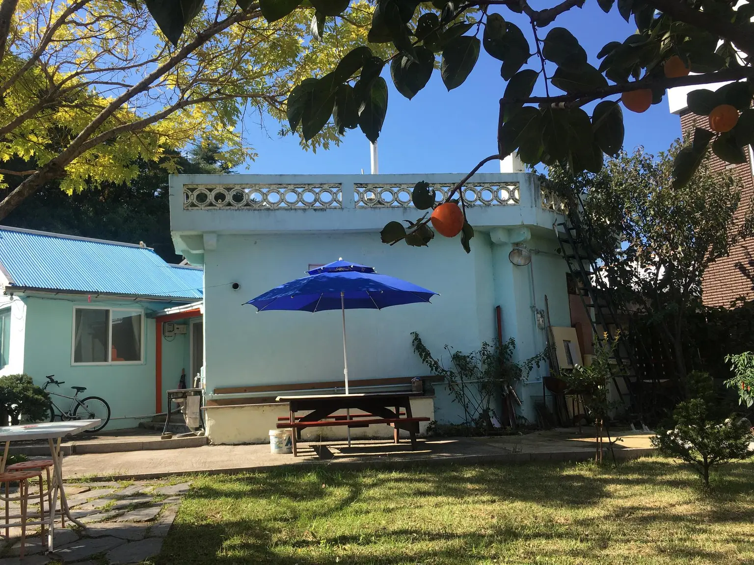 Gangneung Momo House, a detached house with a yard located in front of Namsan Park #Pets allowed - main image