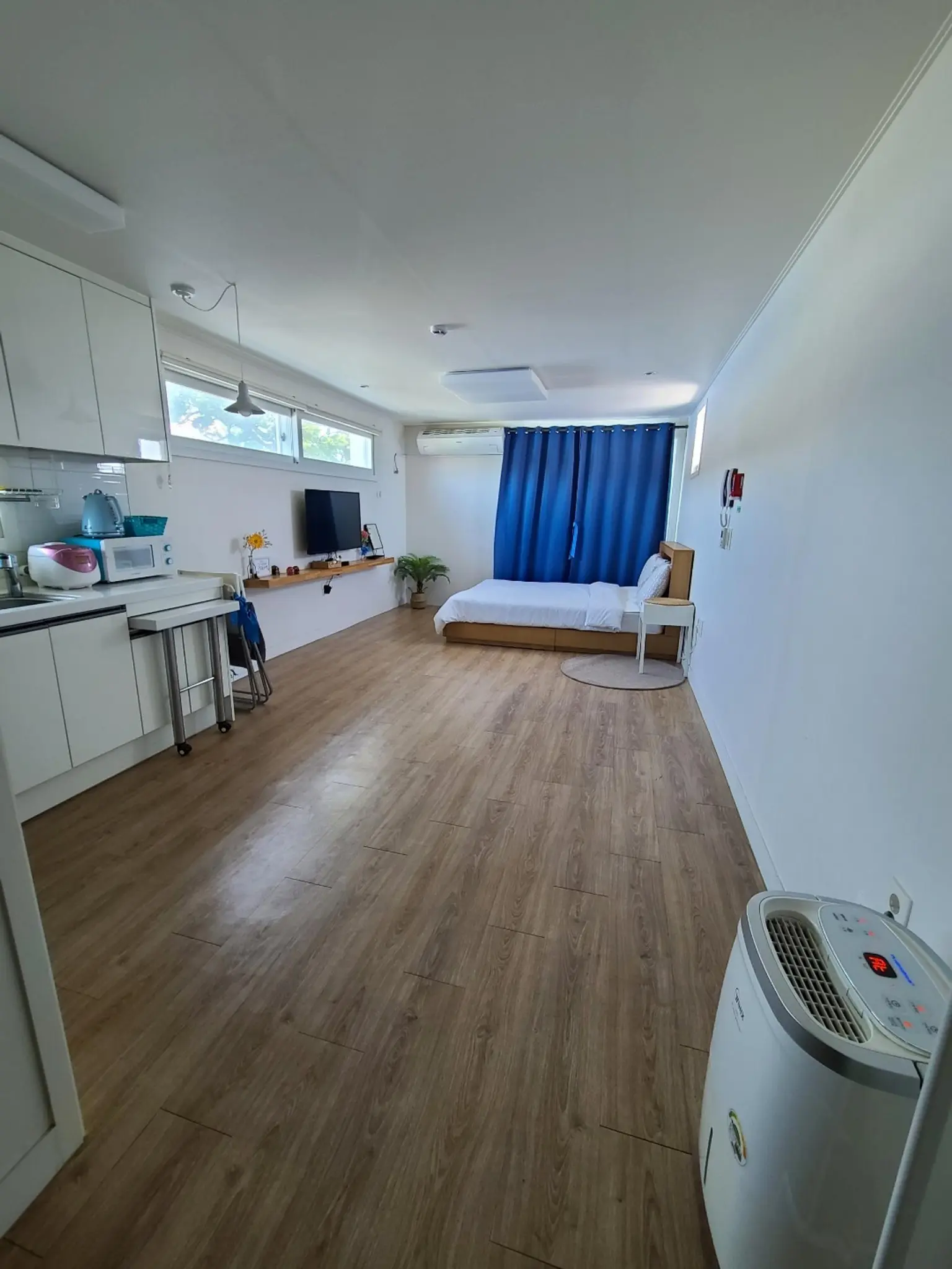 济州涯月 济州岛唯一的亚热带森林区C号单间住宿（蓝色） - image3