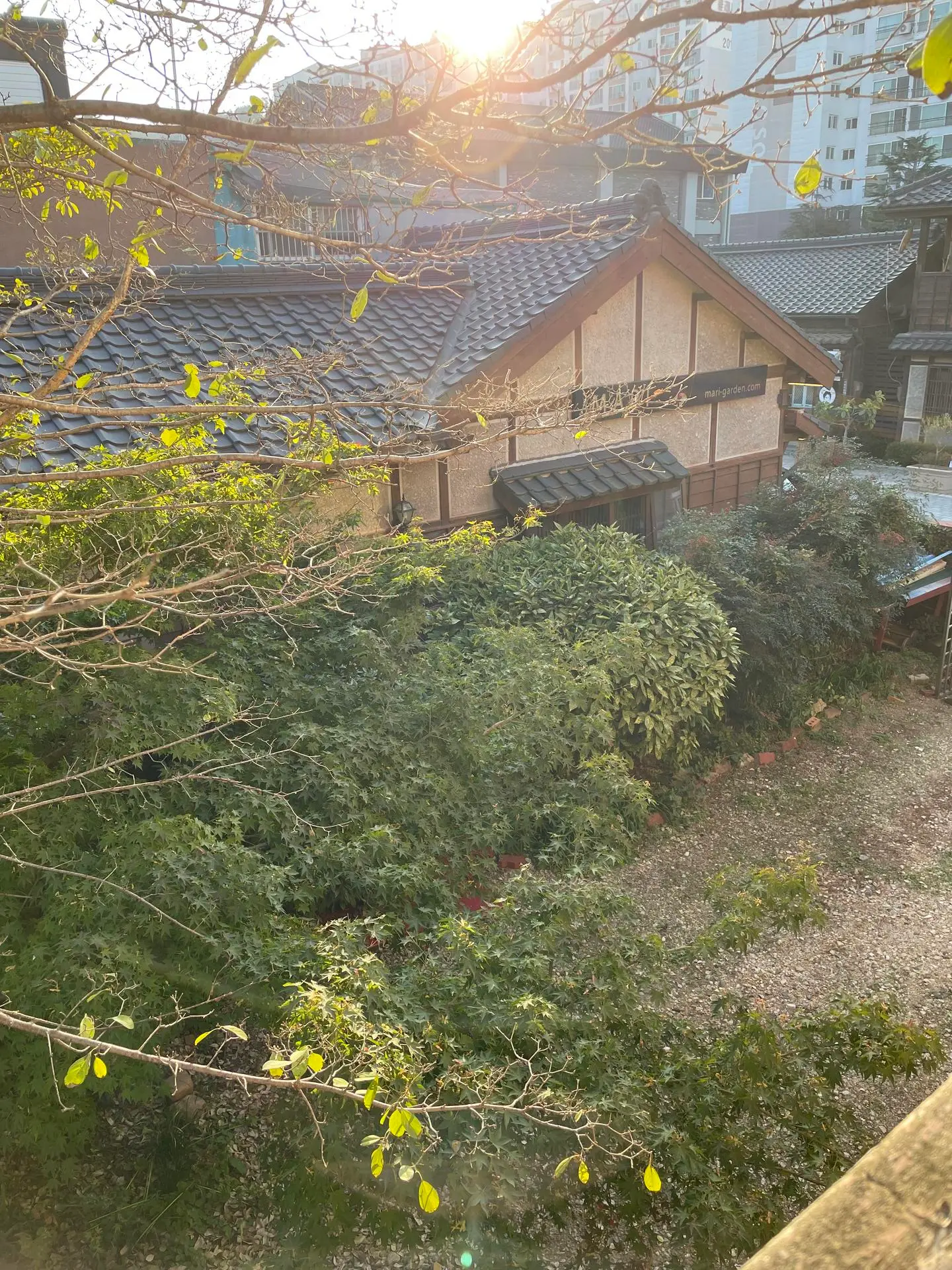 전북 군산 이성당이 가까운 단독 주택 #단독주차장#월명산 - main image