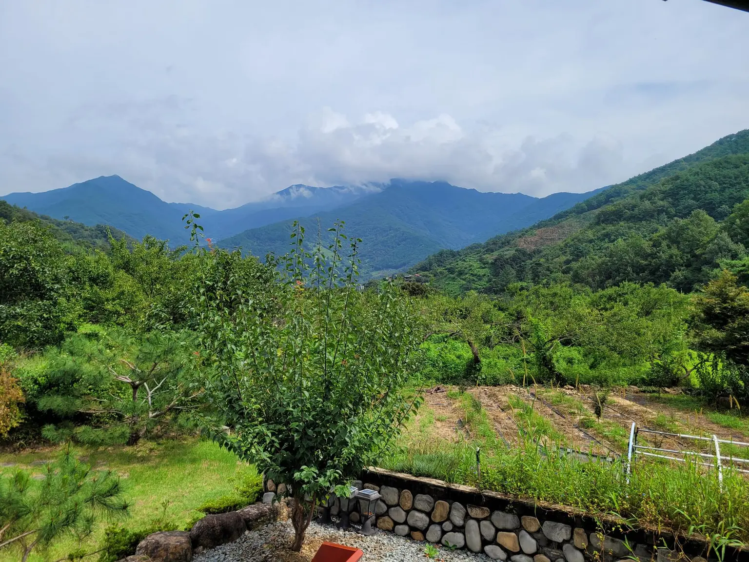 Jeonnam Gwangyang Healthy Hwangtogudeulbang with a beautiful Jirisan view and a multi-pressure analog sensibility - main image