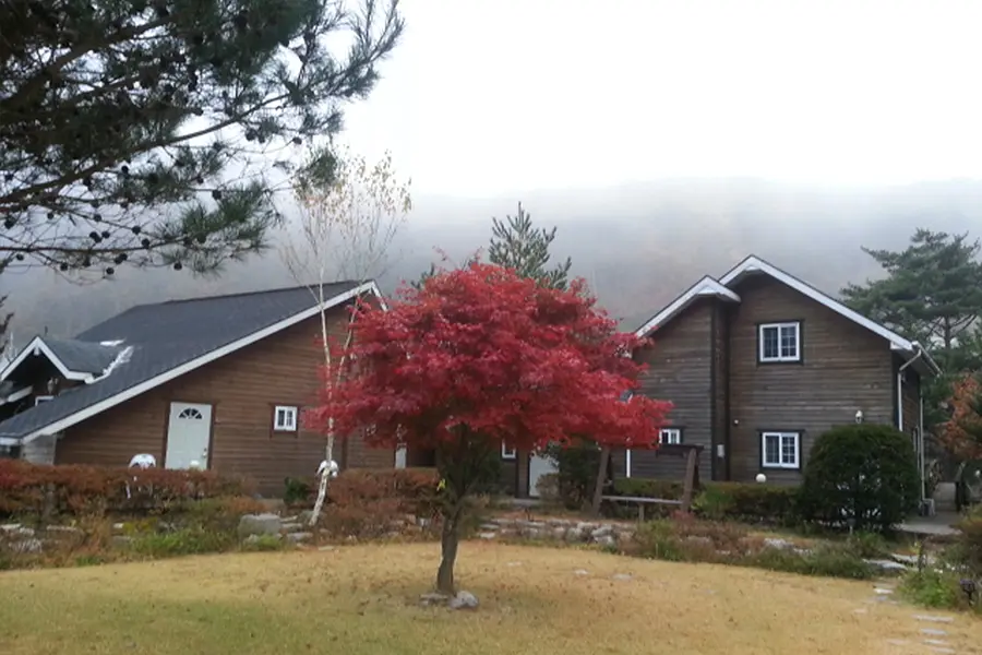 Gangwon Pyeongchang Jaunyoung, a wooden pension nestled in the Geumdangsan Mountain and Geumdang Valley - main image