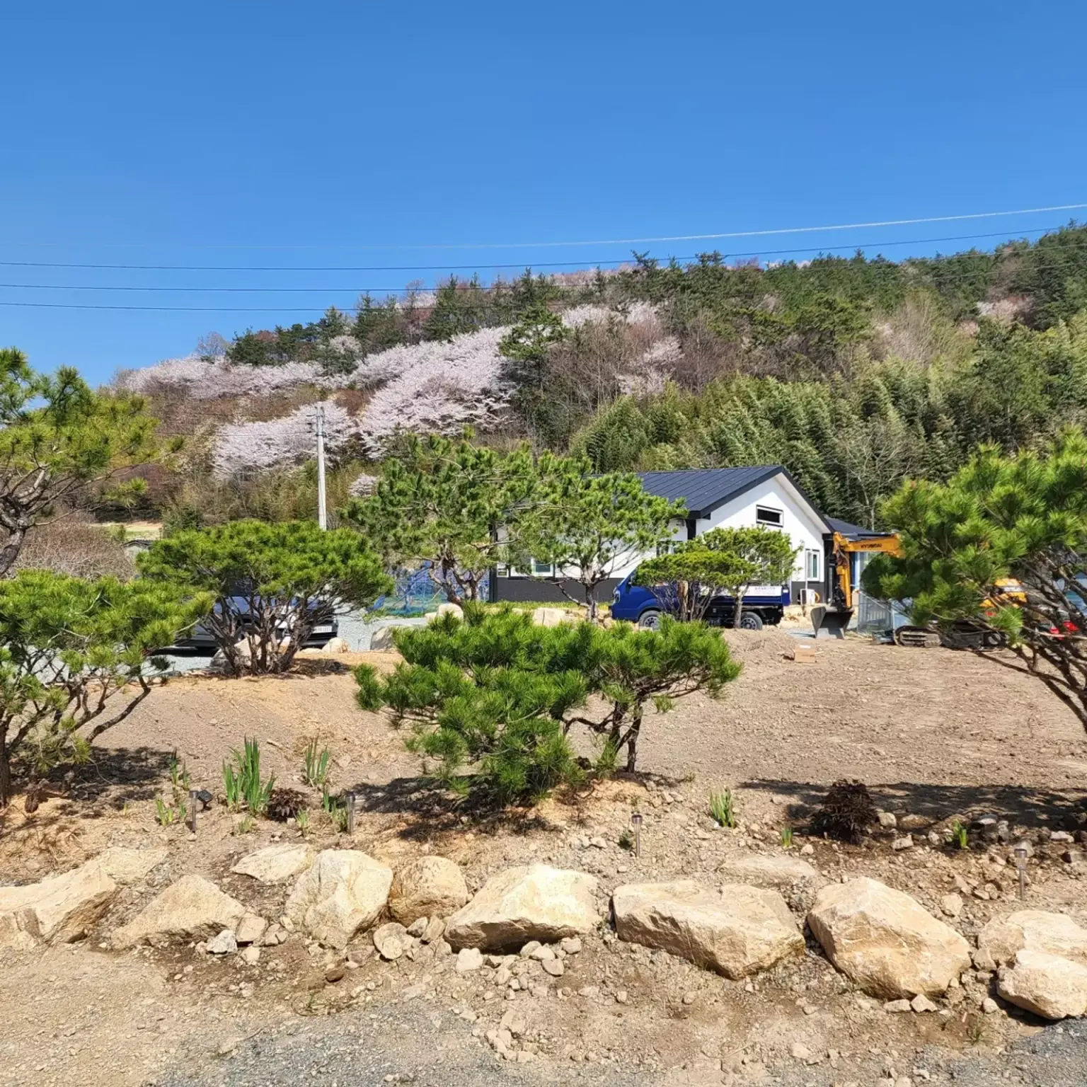 Jeonnam Gangjin walkable & forest retreat & with a yard Rental cottage 1BR & sleeps 4 A one-room pension with good air located right below the mountain Deul One week only Cover Photo