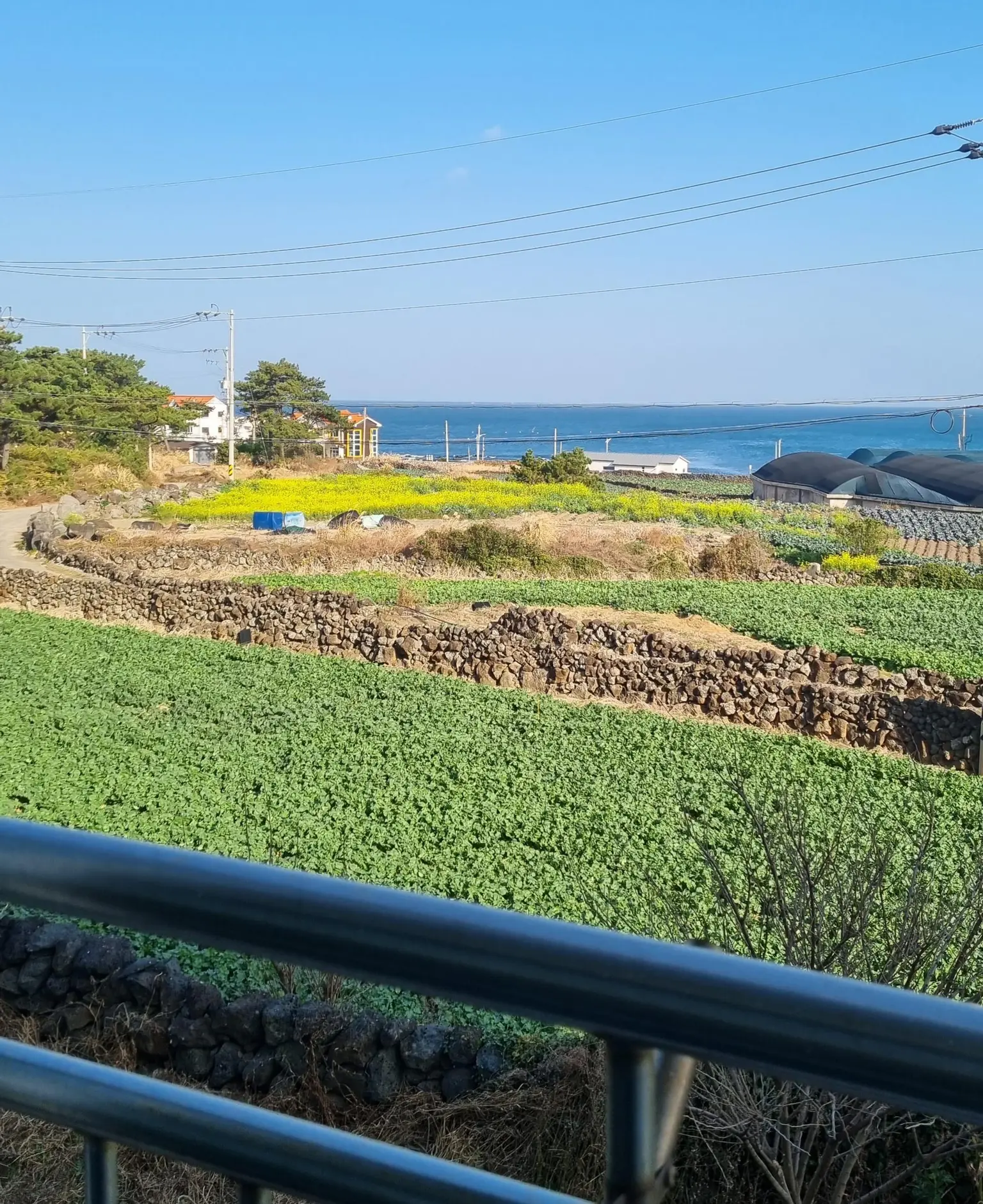 济州韩林 오션뷰·바다 근처·차 없이 머물기 좋은 아파트 투룸·최대 5인 (1号) 郭支附近充满济州风情的两居室公寓 海景 2楼 대표 사진