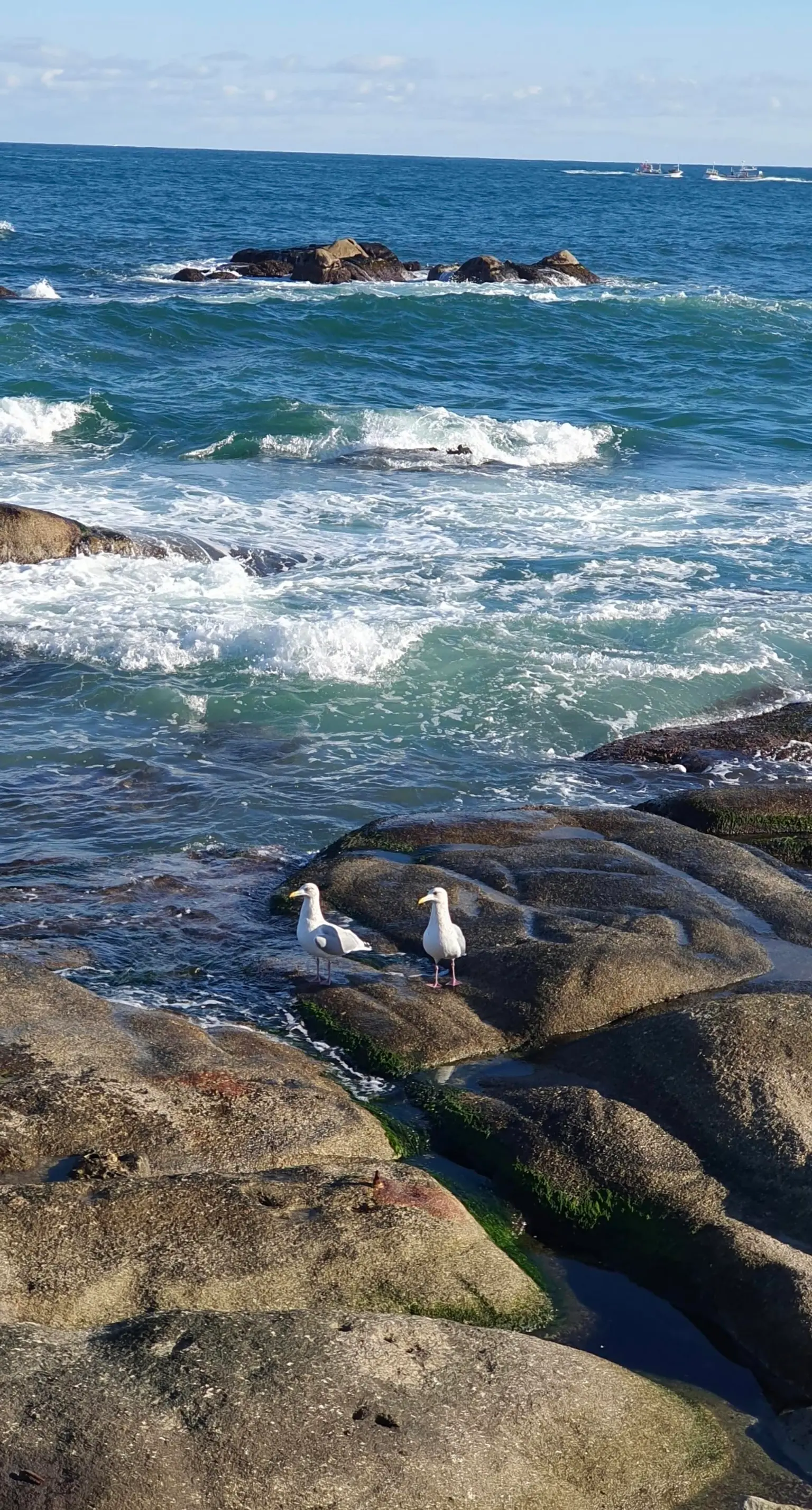 江原江陵 海边独栋别墅 - image8