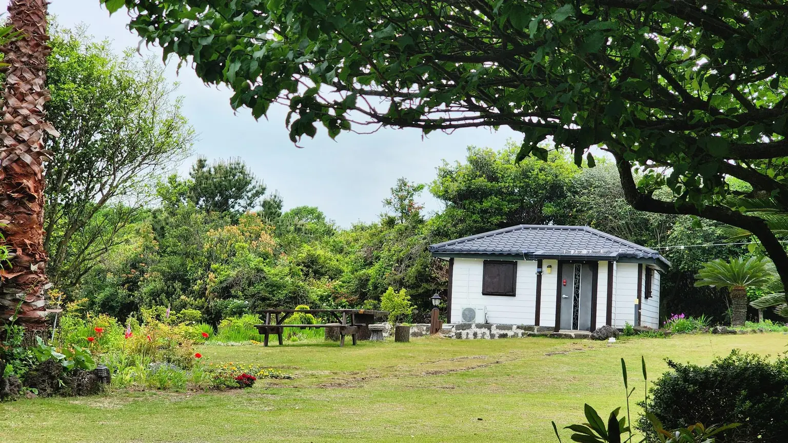 济州表善 大自然中安静的单间住宅 - main image