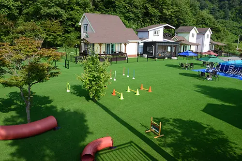 Gyeonggi Yangpyeong Yongmun-myeon pet-friendly pension-type accommodation - main image
