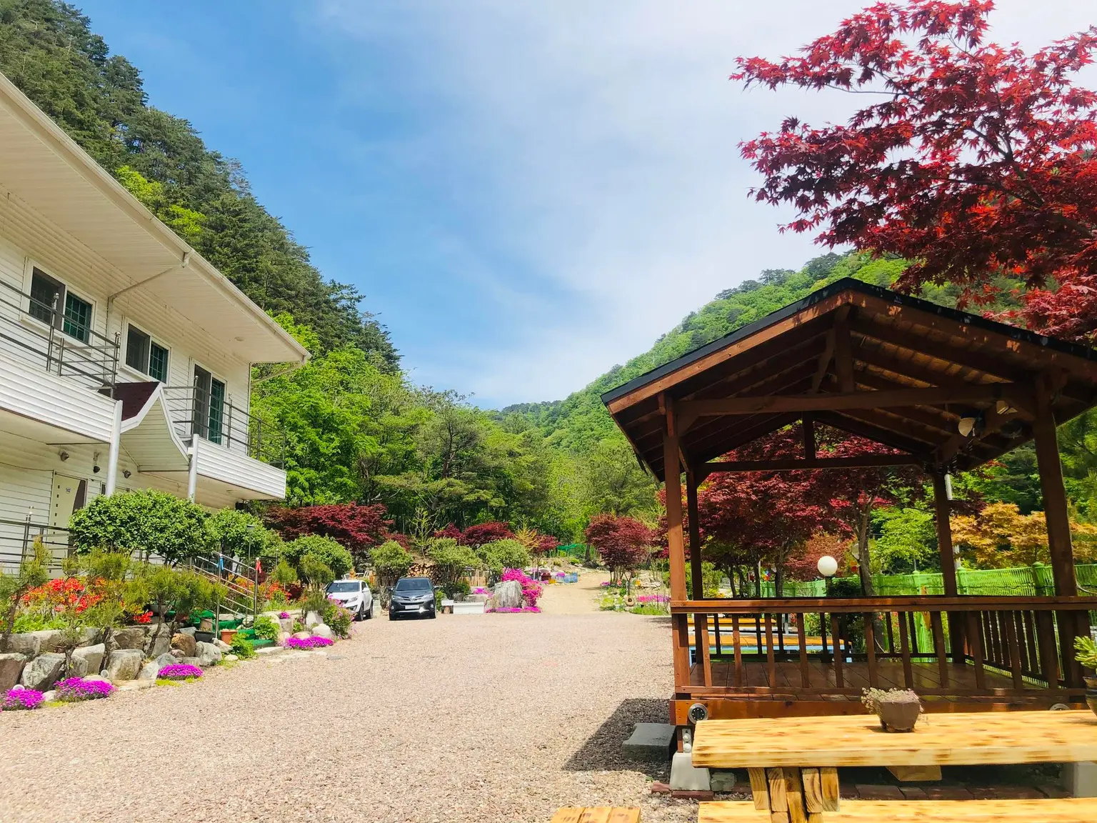 Gangwon Inje Pension, valley, yard, forest, nursing, hot spring - main image