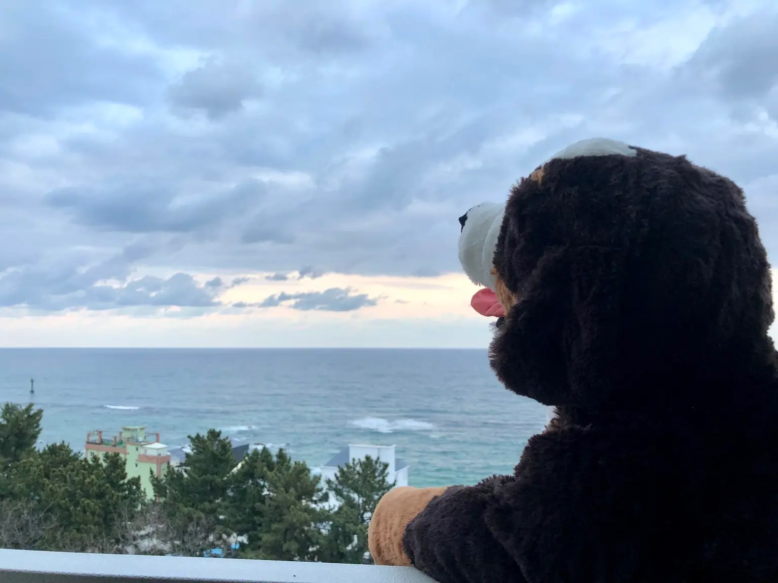 Gangwon Gangneung Jumunjin Goblin filming location Yeongjin Beach Ocean View - main image