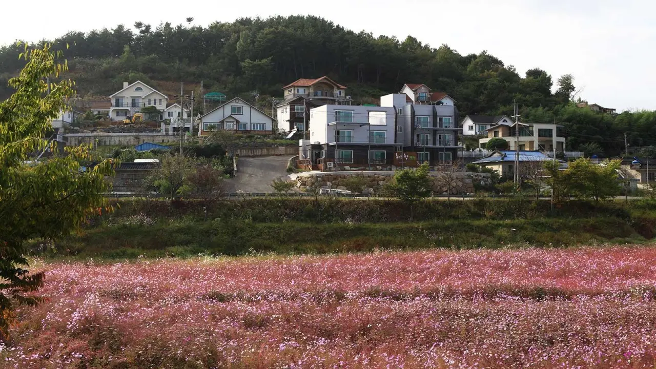 慶南真珠 大平面鎮陽湖近くの静かな田舎村ペンションレモンバーム - image6