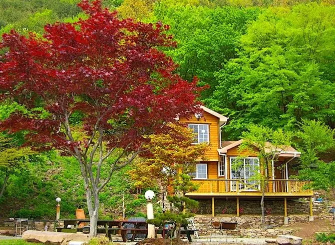 Goseong, Gyeongnam A detached yellow mud house in the mountains of Sangri-myeon - image9