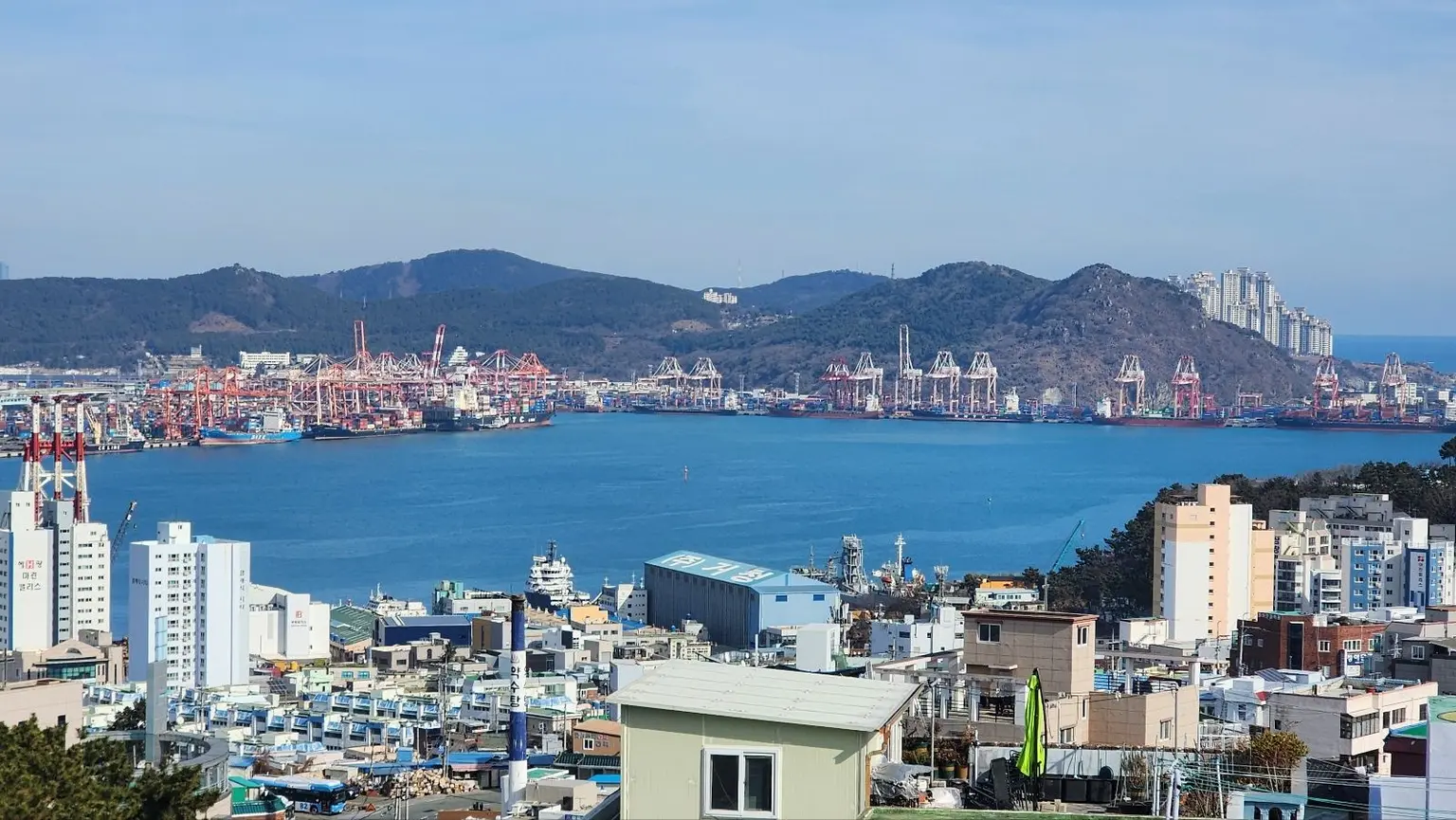 釜山影岛 一览影岛海景 #宠物友好型青鹤洞美食胜地 - main image