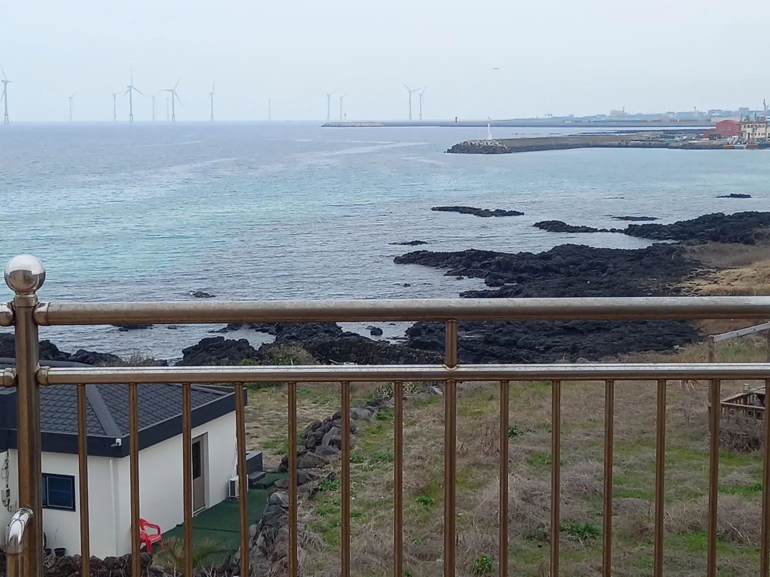 済州 非譲渡/オーシャンビューが見える狭い海水浴場ステイ＃202号＃愛犬同伴 - main image