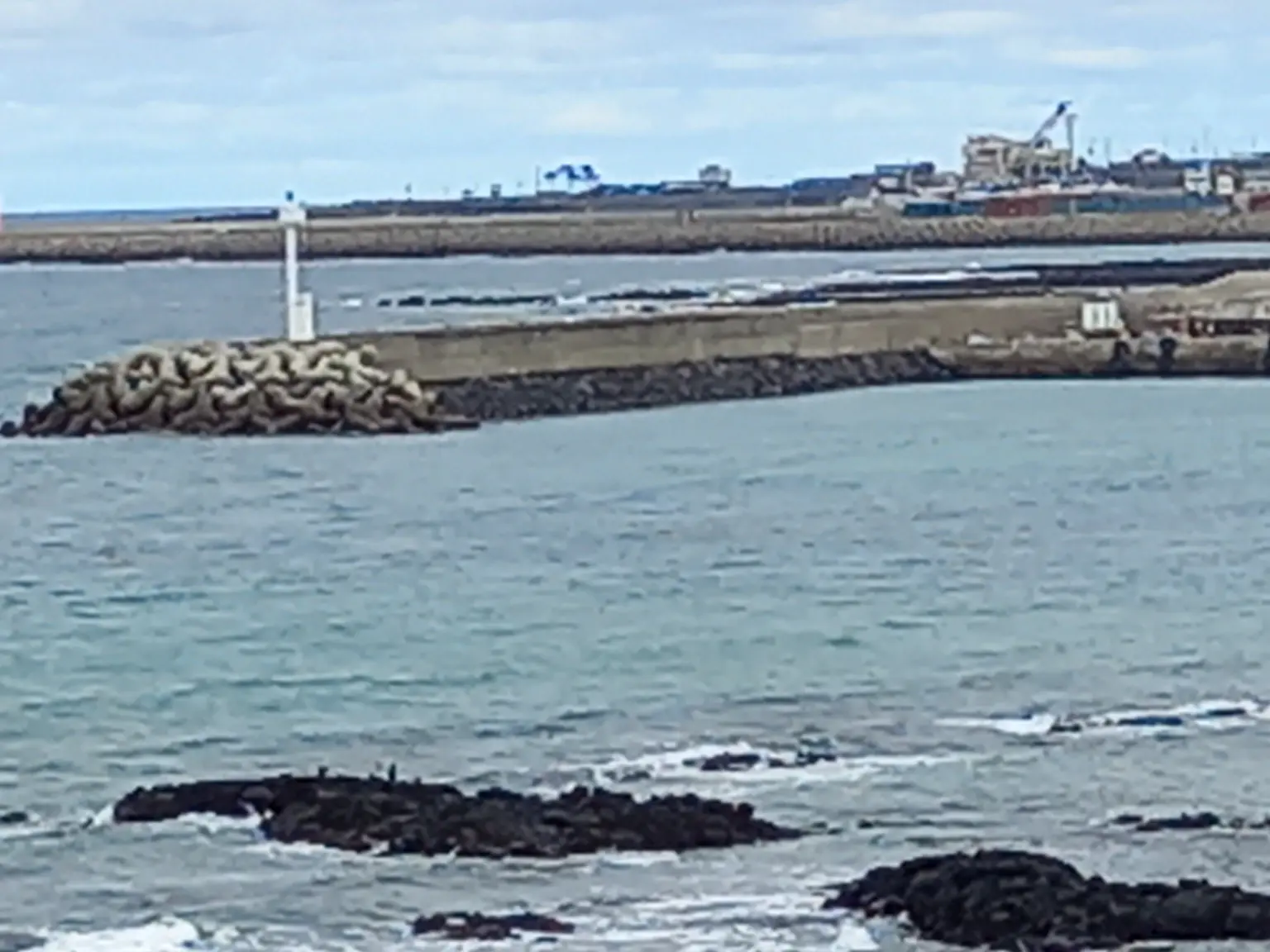 济州 오션뷰·바다 근처·차 없이 머물기 좋은 펜션 원룸·최대 4인 飞扬岛/海景挟才海滩住宿 201 可携带宠物 대표 사진