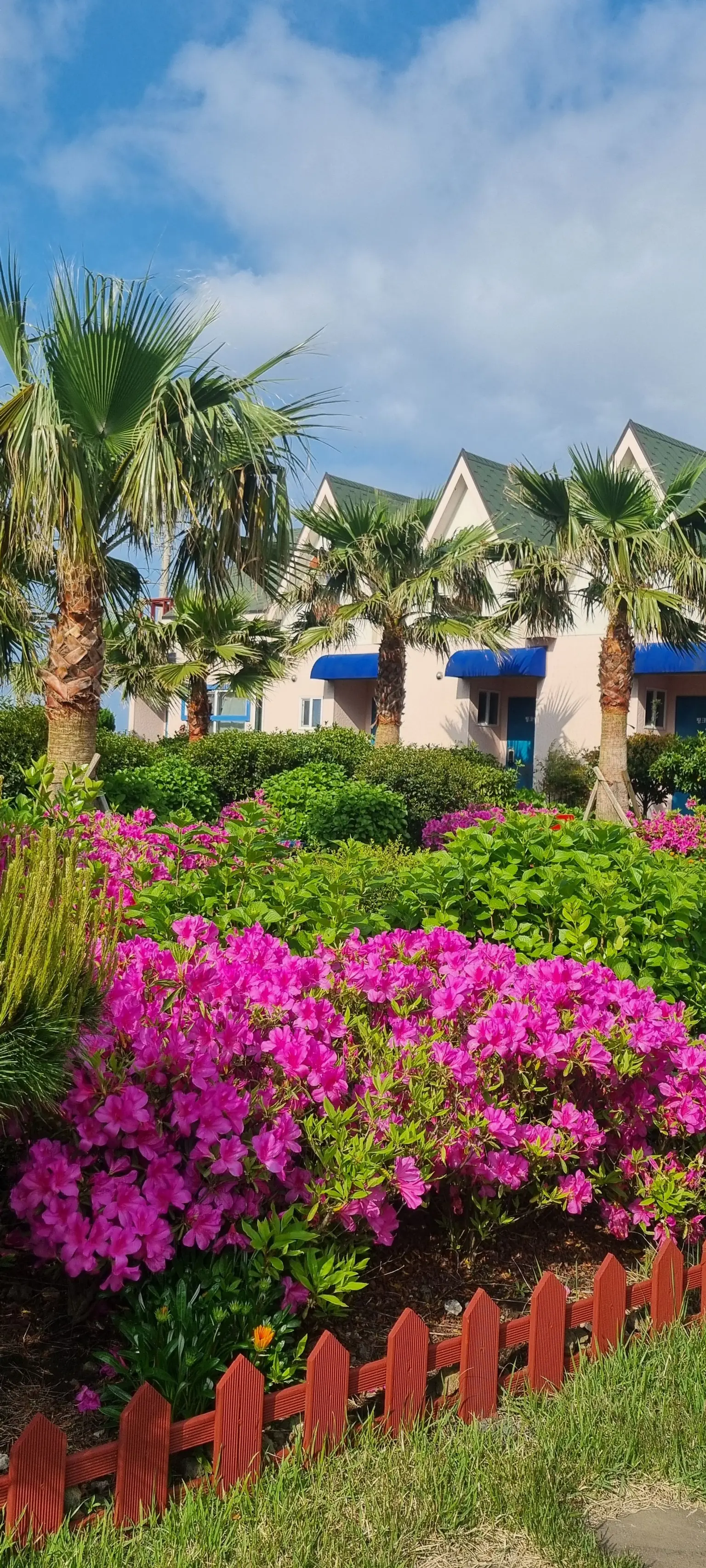 Jeju Gujwa European-style accommodation, dog-friendly one-room duplex house Pink Oreum #Large dogs allowed - main image