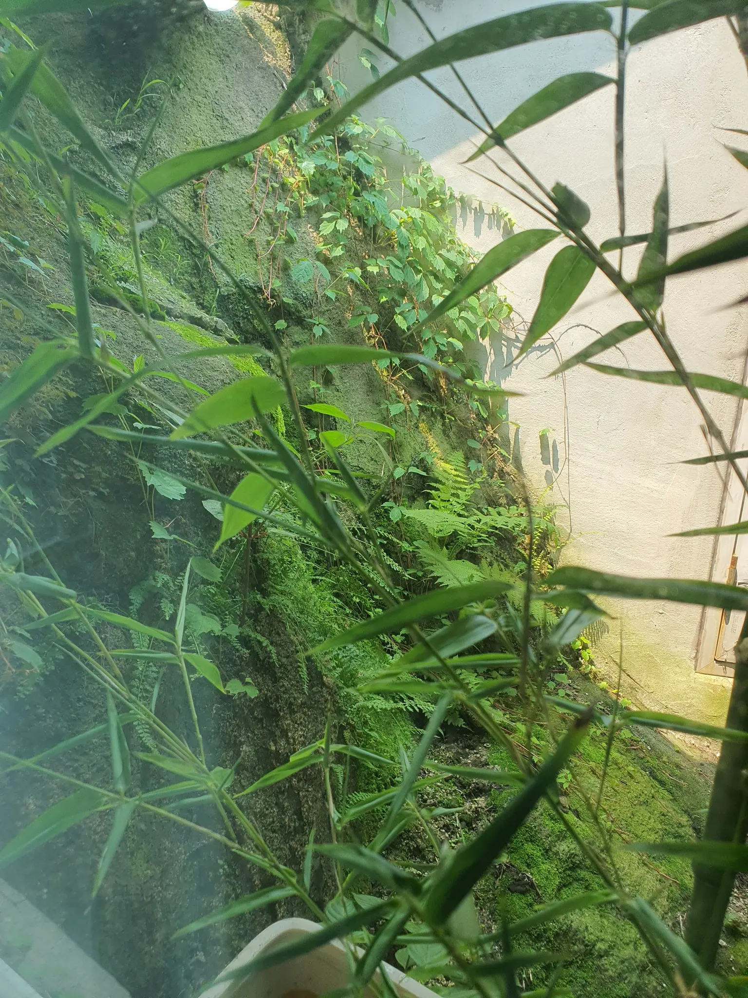江原江陵 海边独栋别墅 - image6