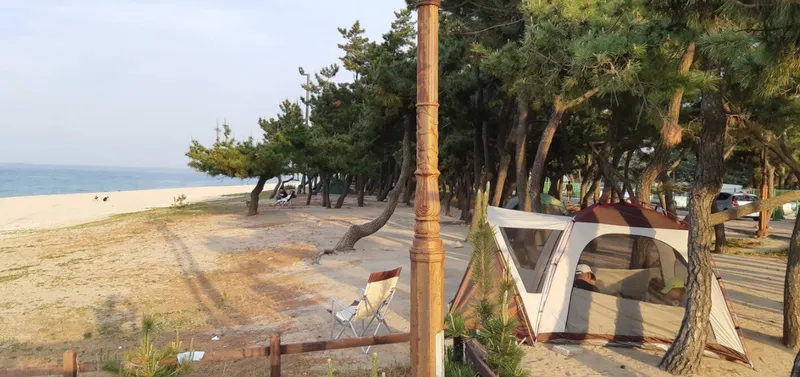 [강원 강릉] 송정/안목 해변 독채 하우스(애견/반려동물,마당,BBQ) 27