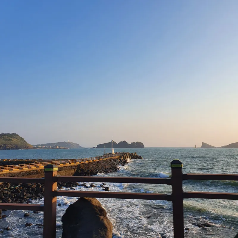 [제주 한경] 제주 힐링하우스 독채펜션(숙박과 차량을 한번에) 24
