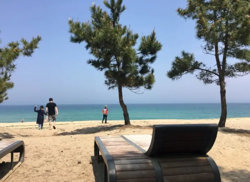 [강원 강릉] 송정/안목 해변 독채 하우스(애견/반려동물,마당,BBQ) 26