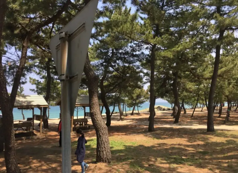 [강원 강릉] 송정/안목 해변 독채 하우스(애견/반려동물,마당,BBQ) 25