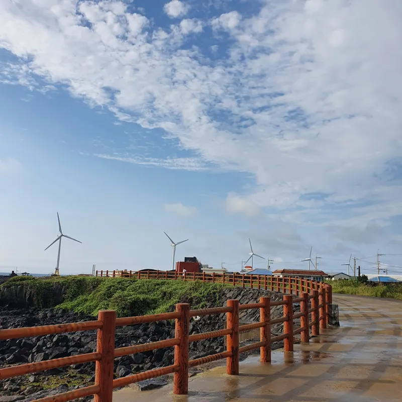 [제주 한경] 제주 힐링하우스 독채펜션(숙박과 차량을 한번에) 25