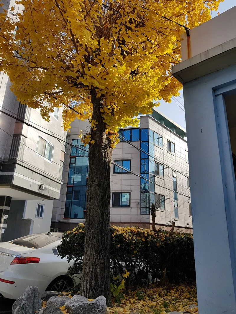 [대구 남구] Hub 미라벨 주택 #원룸 11
