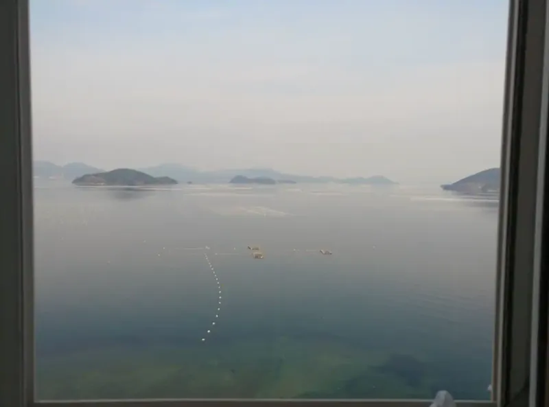 [경남 거제] 노을지는 샘의 쉐어하우스 12