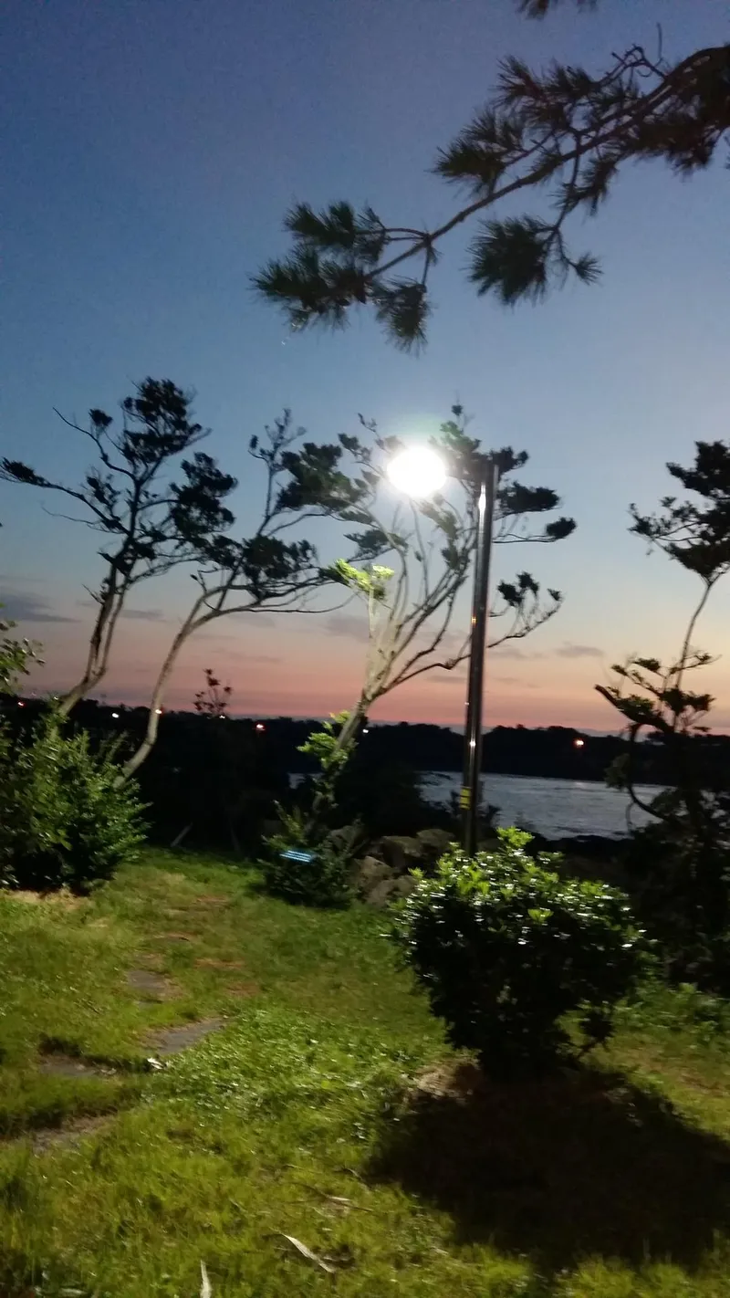 [Namwon, Seogwipo] Pension with Ocean Views in All Rooms and Swimming Pool Right in Front of Golf Putting Green in the Courtyard_24 Pyeong 17