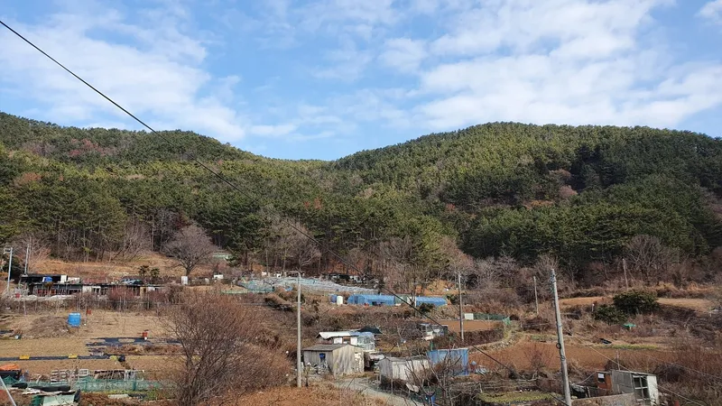[경남 통영] 원룸  한달살기  F 12