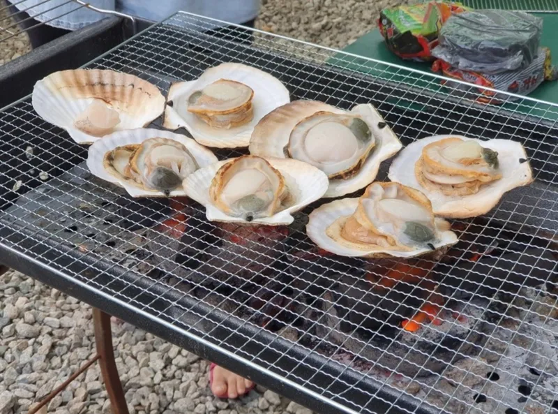 [강원 고성] (거북섬)삼포해변 수심이 호수처럼낮아서 가족들이 즐겨찿는곳 10