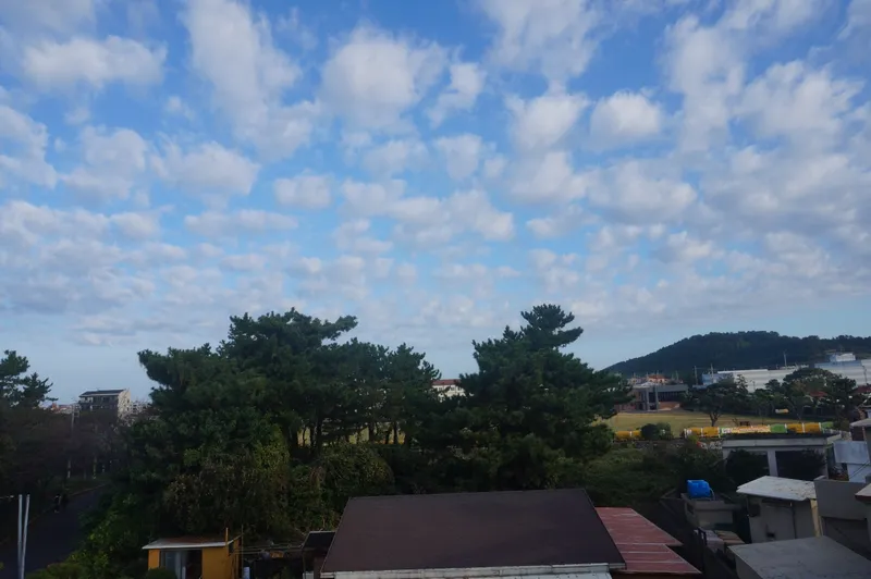 [제주 조천] 함덕함덕해변 도보 15분 대나무집 넓은 스튜디오 1층 26