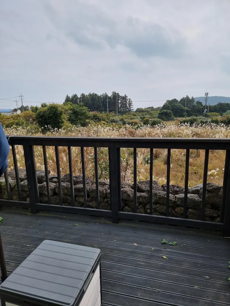 [Pyoseon, Seogwipo] A one-room house for 1-2 people with a beautiful forest view: Tiny House A 12