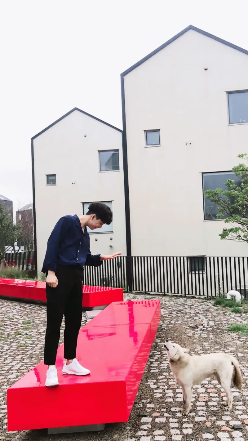 [제주 구좌] 제주 구좌읍 하도리 3층 투룸독채 #오션뷰#그림같은정원 16