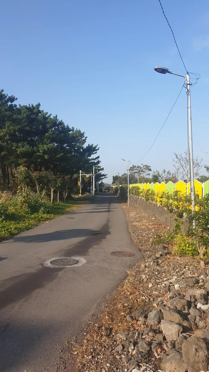 [제주 조천] 함덕해수욕장 도보15분 함덕대나무집 거실+투룸 2층 B 32