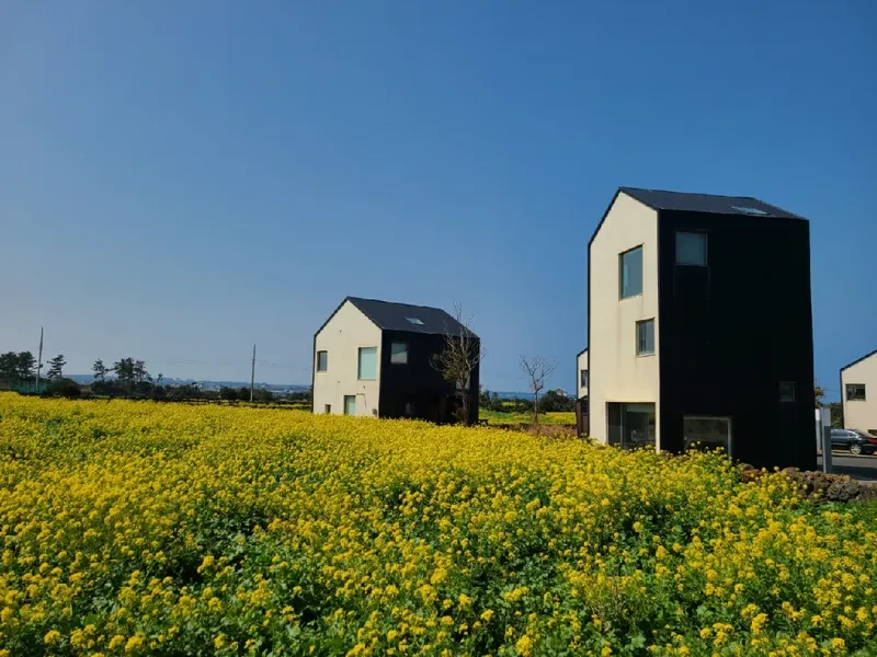 [제주 구좌] 제주 구좌읍 하도리 3층 투룸독채 #오션뷰#그림같은정원 18