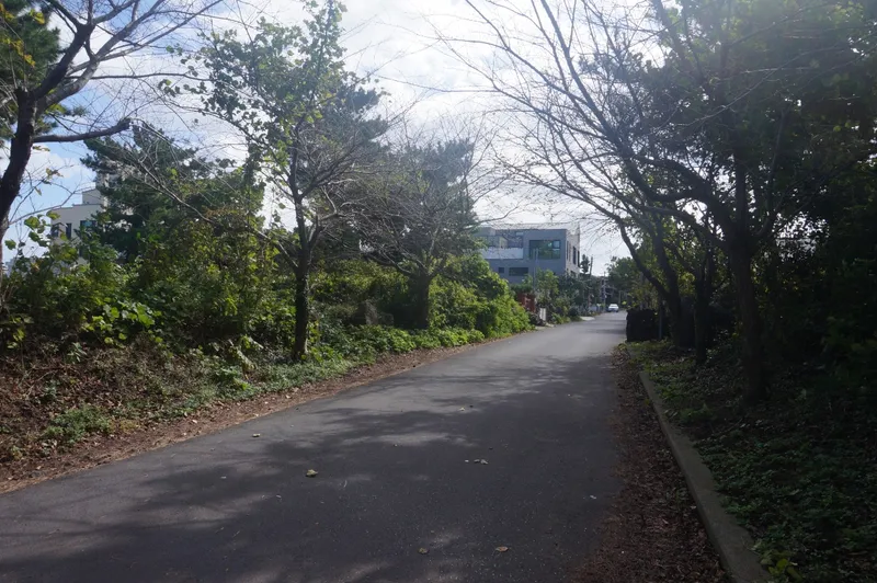 [제주 조천] 함덕해수욕장 도보15분 함덕대나무집 거실+투룸 2층 B 25