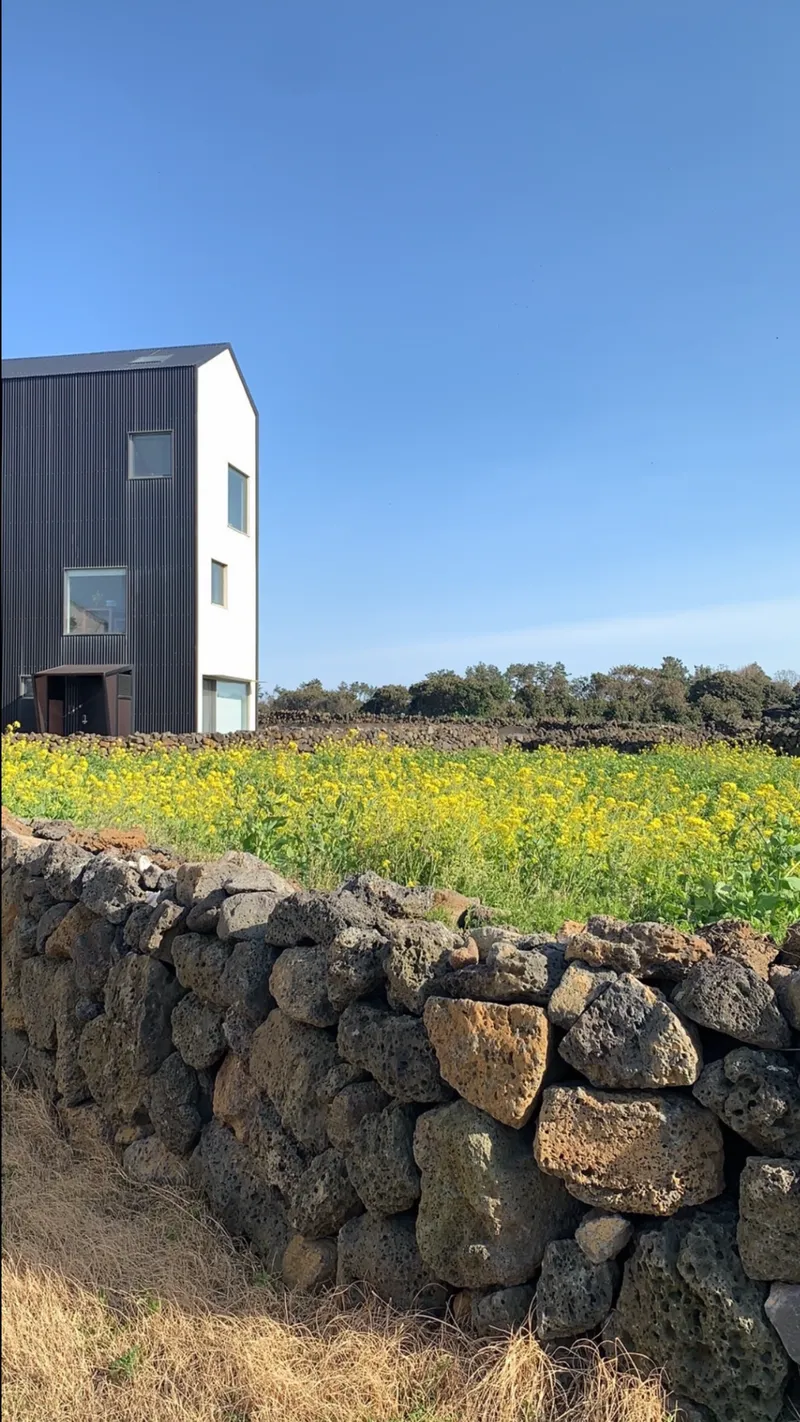 [제주 구좌] 제주 구좌읍 하도리 3층 투룸독채 #오션뷰#그림같은정원 17