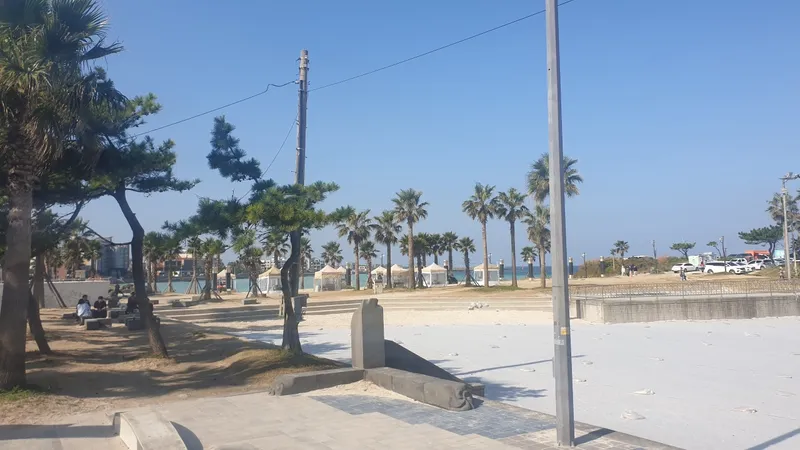 [제주 조천] 함덕해수욕장 도보15분 함덕대나무집 거실+투룸 2층 B 38