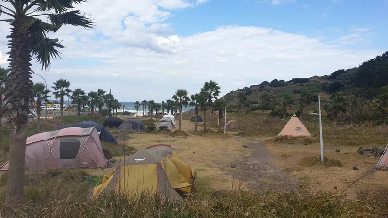 [제주 조천] 함덕해수욕장 도보15분 함덕대나무집 거실+투룸 2층 B 37