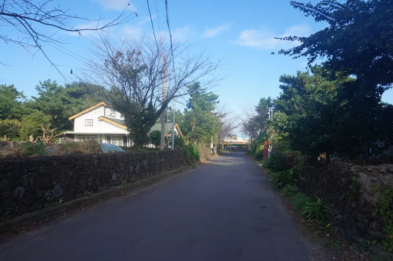 [제주 조천] 함덕함덕해변 도보 15분 대나무집 넓은 스튜디오 1층 22