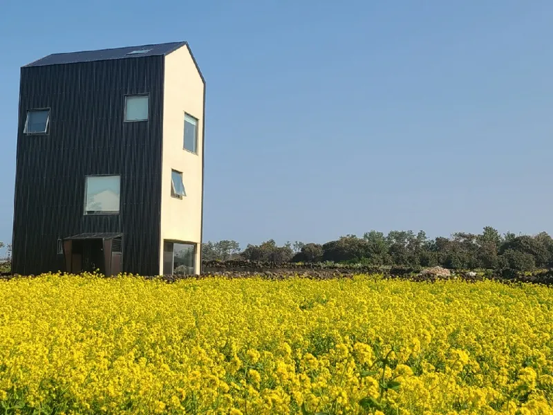 [제주 구좌] 제주 구좌읍 하도리 3층 투룸독채 #오션뷰#그림같은정원 20