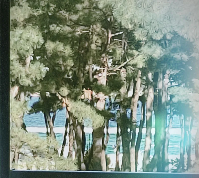 [강원 속초] ♡실속#케렌시아#마르#속초해변1분솔향오션뷰!아이or혼자or애견과함께 15