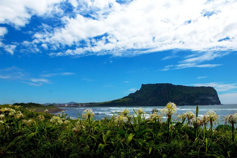 [Gujwa, Jeju] 30% Off October-November Ocean View Beachfront 2nd Floor Duplex Studio 201. 33