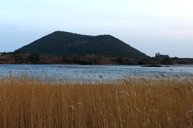 [Gujwa, Jeju] 30% Off October-November Ocean View Beachfront 2nd Floor Duplex Studio 201. 36
