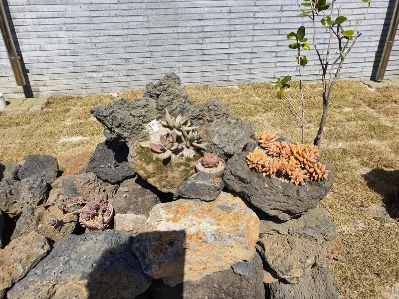 [제주 한림] 바다와 제주의 풍경을 품고 있는 조용한 독채 힐링스테이 94