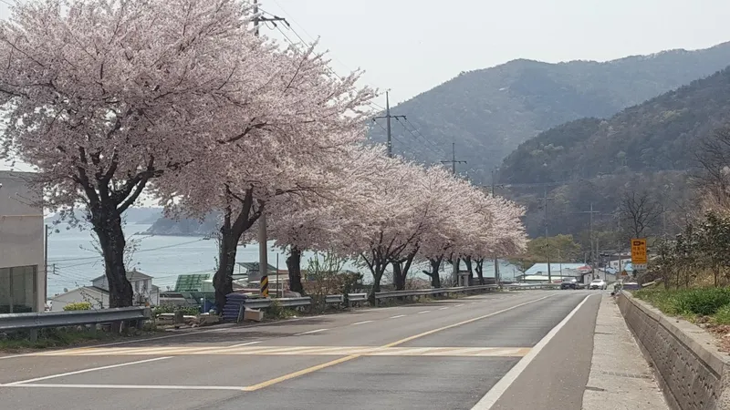 [경남 남해] 독일마을 근처 오션뷰 2층 50