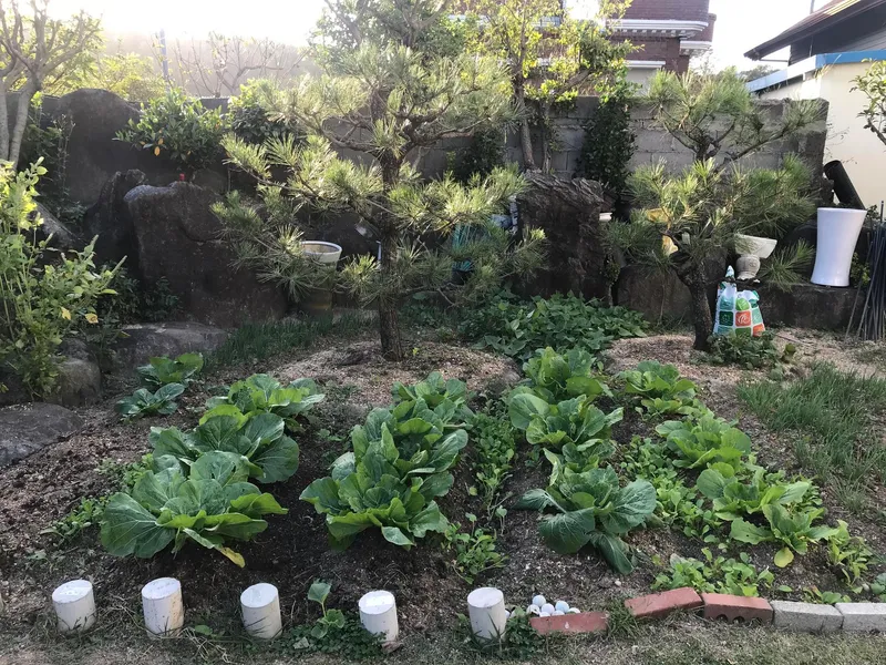 [경남 거제] 야외테라스 및 정원이 예쁜 2층 주택#바베큐 11